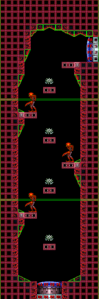 File:RedPirateShaft.png