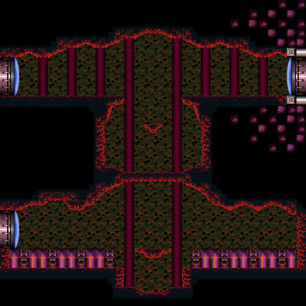 File:UpperNorfairFarmingRoom.png